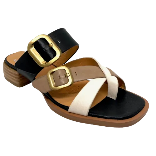 EOS Teia  -  Thong/slide