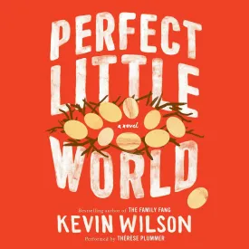 Perfect Little World Audio CD  Unabridged, January 24, 2017