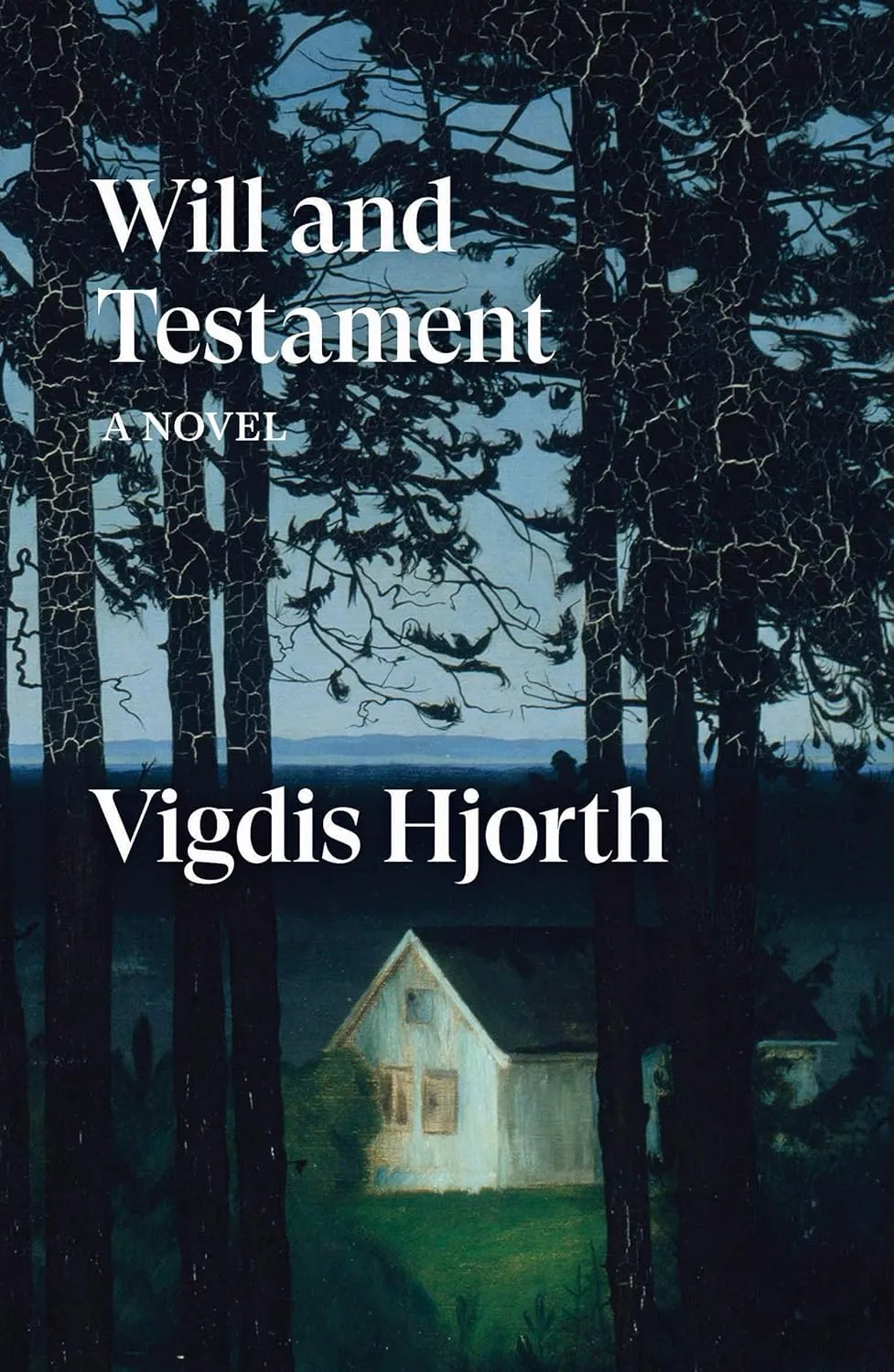 Will and Testament: A Novel (Verso Fiction) Paperback  September 10, 2019