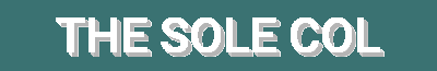 The Sole Collection - Comfortable & Stylish Footwear for Every Occasion